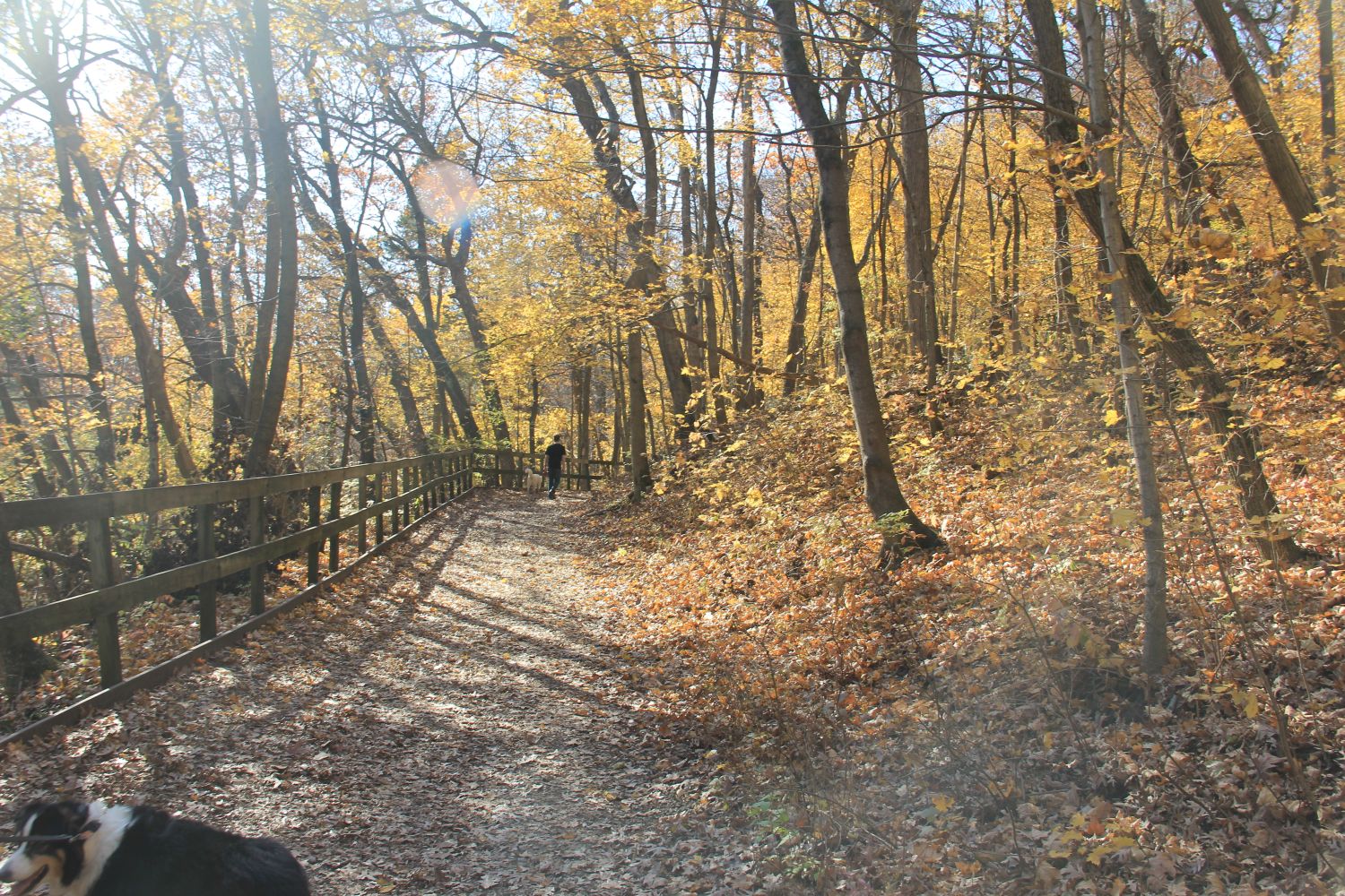 Matthiessen 